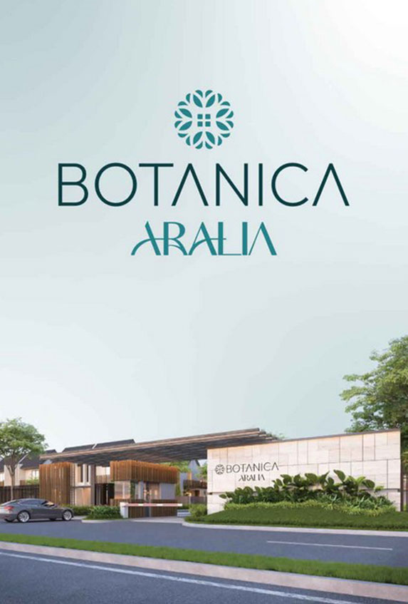 aralia1